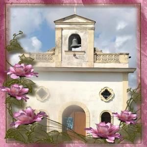 Meet your Posher, Shelly